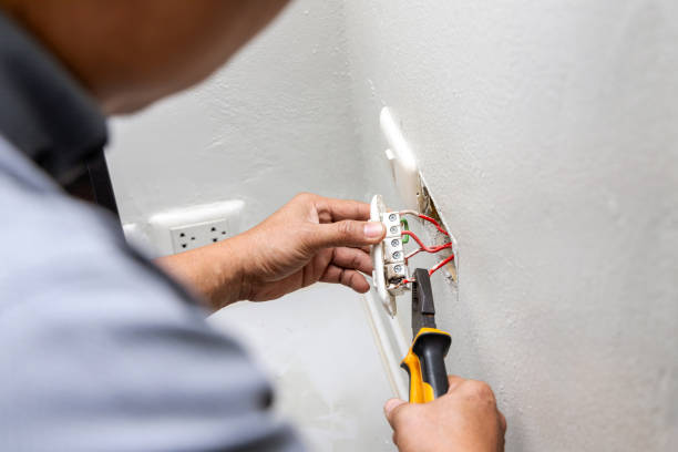 Best Outdoor Lighting Installation  in Navasota, TX